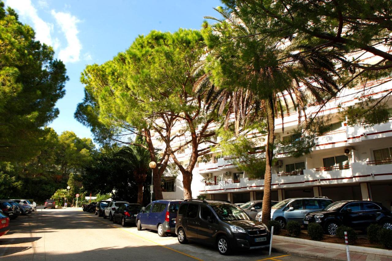 Apartamento Can Poma Alcúdia Eksteriør bilde